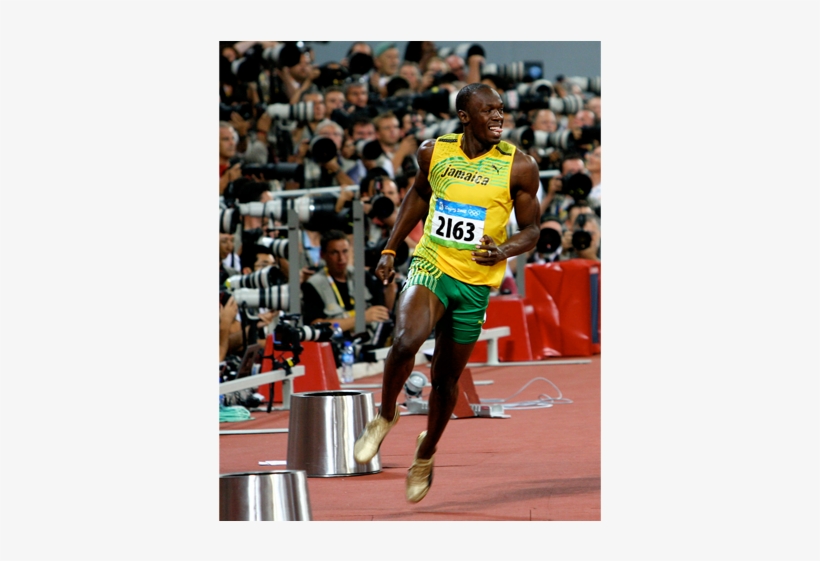 Slow And Fast Twitch Muscles Atlas, transparent png download