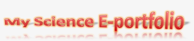 My Science E-portfolio - Electronic Portfolio, transparent png download