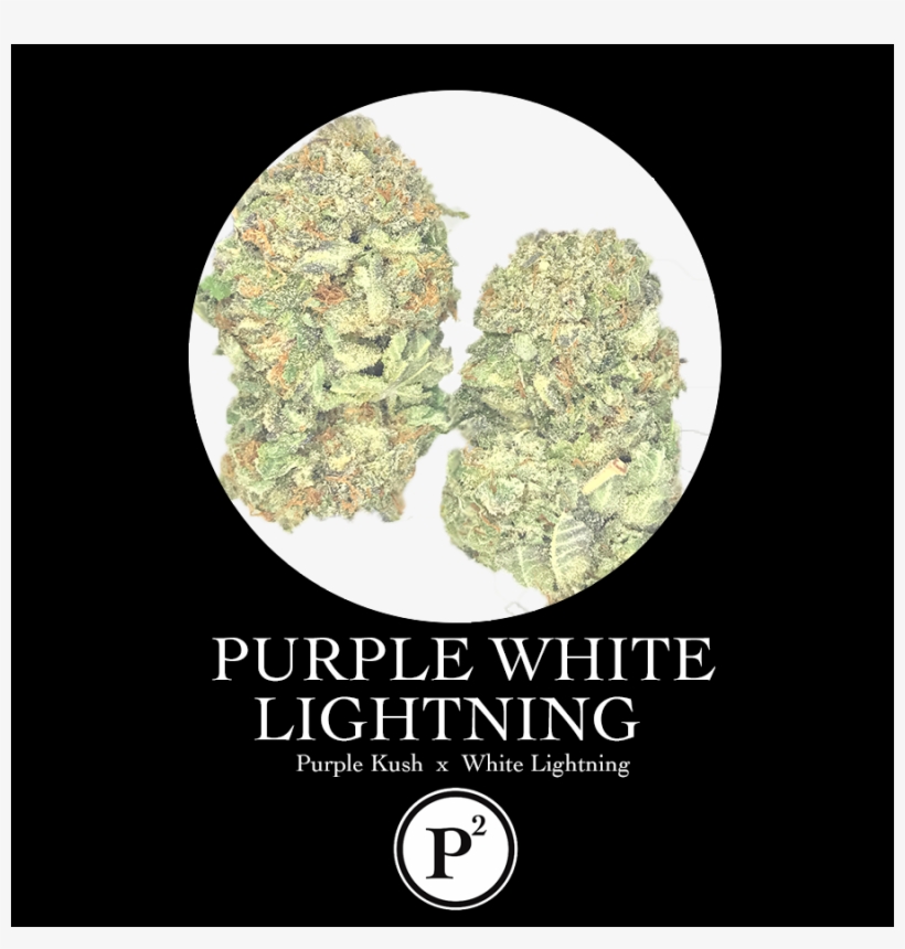Purple White Lightning - Dreaming Lhasa, transparent png download
