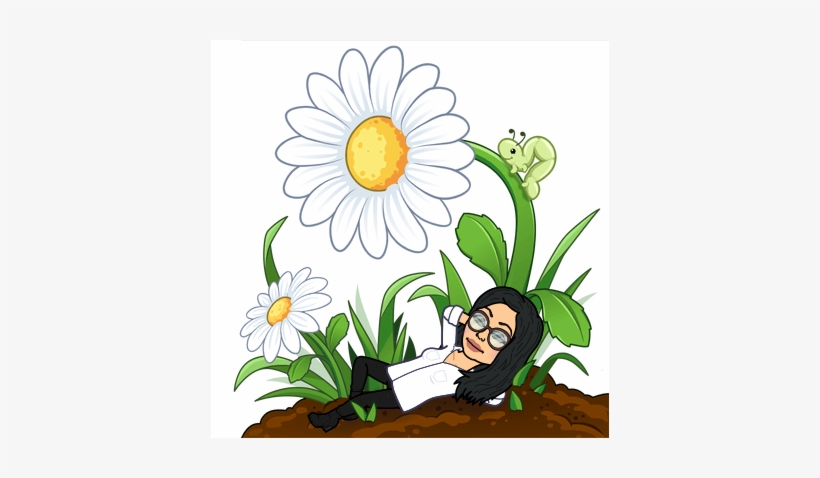 3bb0ec2a 98e6 4eed 9ff0 A17d74f8bd6a 069713b7 5788, transparent png download