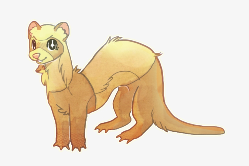 Ferret Cutie By Meritferret-d9wunag - Ferret, transparent png download