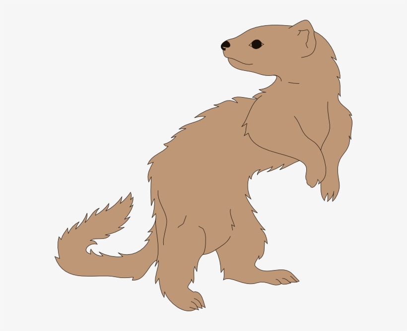 Small - Clipart Ferret, transparent png download