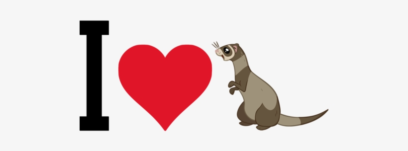 Ferret, transparent png download