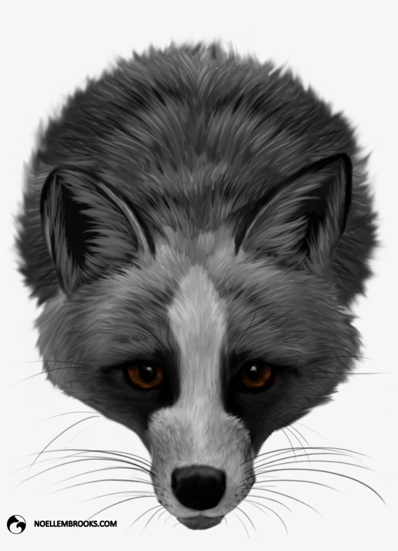 Foxes As Pets - Red Fox, transparent png download