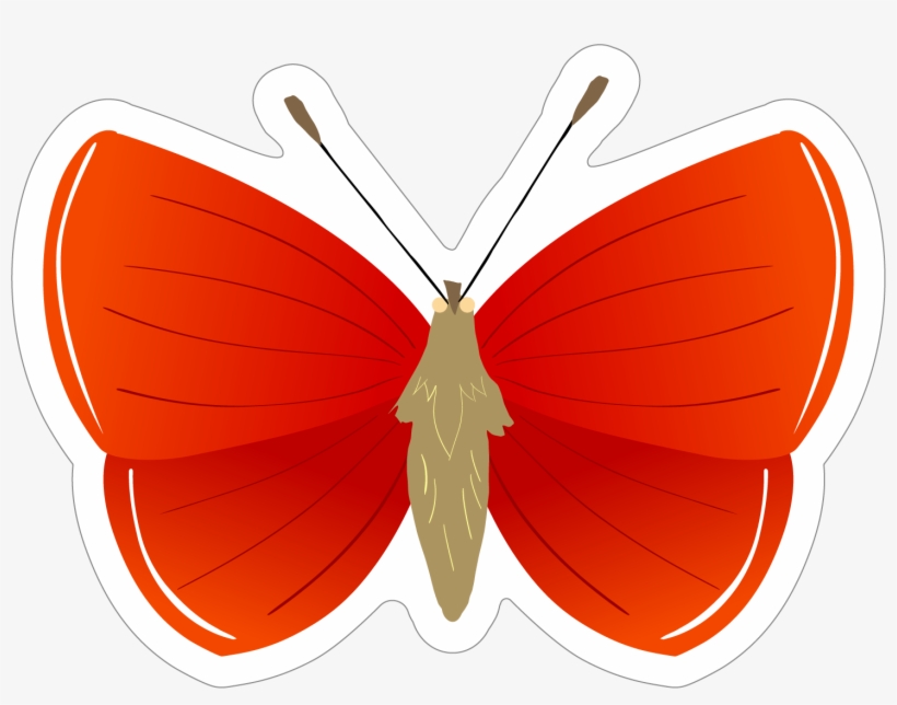 Butterfly, transparent png download