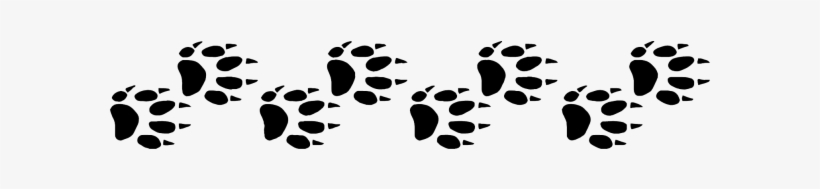 Excessive Weight In Ferrets - Ferret Paw Png, transparent png download