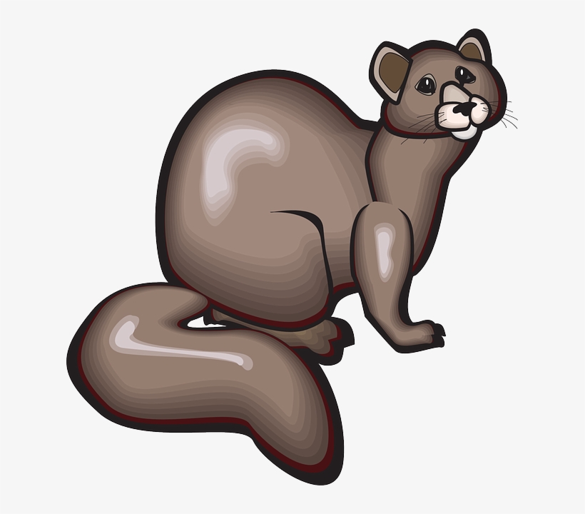 Whiskers Digital, Shapes, Style, Art, Animal, Tail, - Соболь Пнг, transparent png download