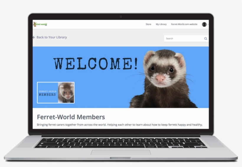 Access To A Growing Database Of The Latest Research - Simple, transparent png download