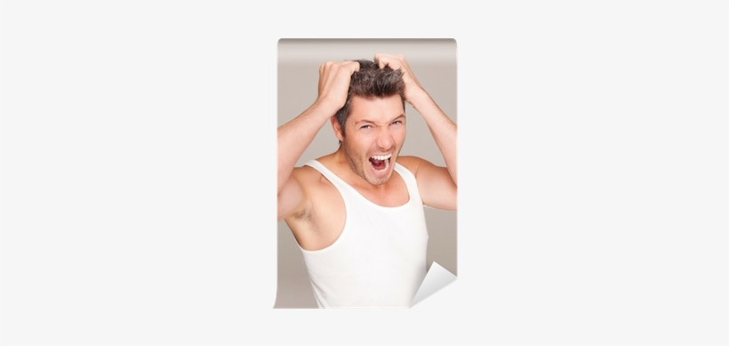 Photography, transparent png download