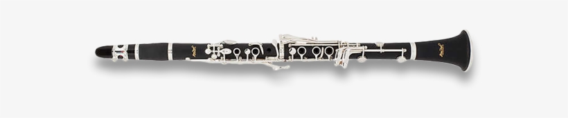 Clarinet Family, transparent png download