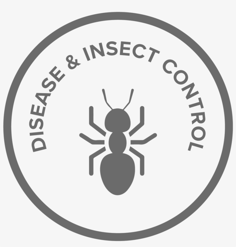 Free Estimate - Ad Villaviciosa De Odon, transparent png download