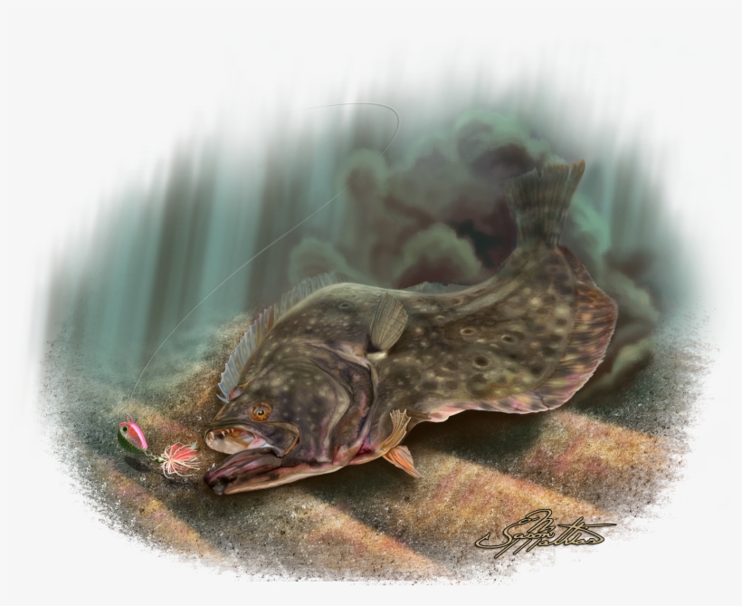 T Shirt Southern Fishing Tshirt Transprent Png - Summer Flounder, transparent png download