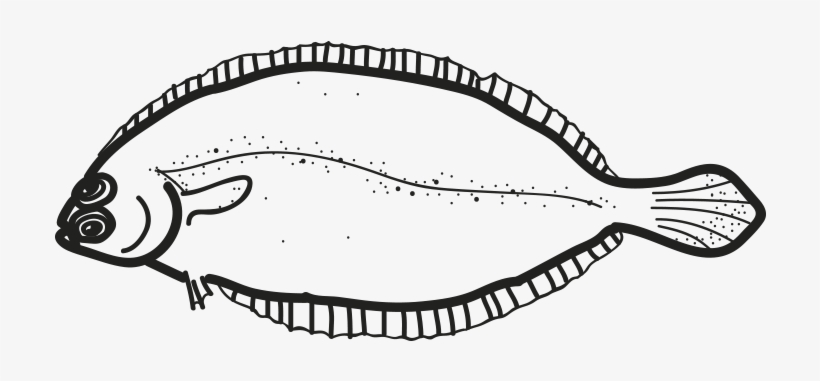 Witch Flounder - Birthday, transparent png download