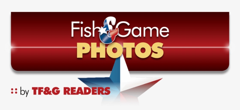 Graphic Design, transparent png download