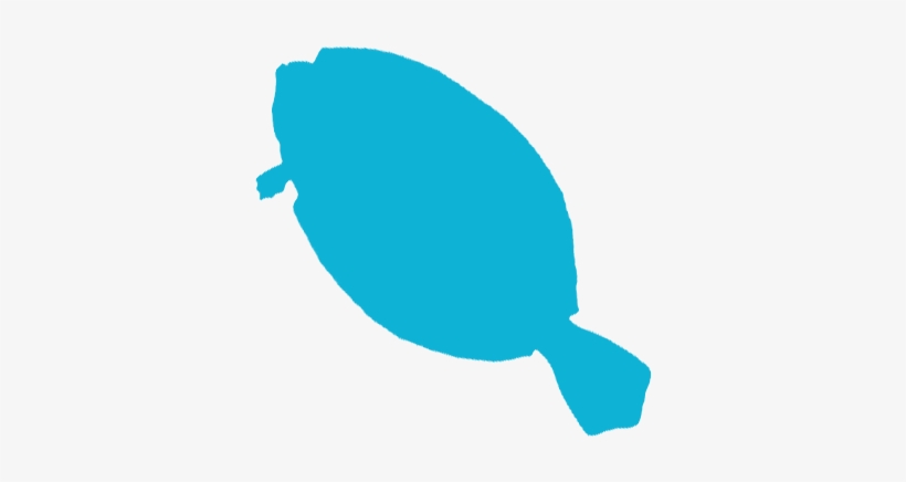 25 - Flounders - Flounder, transparent png download