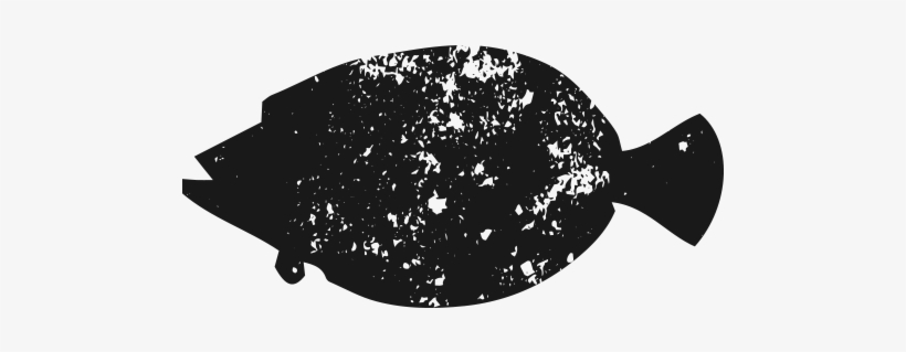 Floundericon - Greeting Card, transparent png download