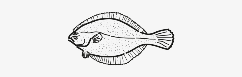 Producto Platija Hippoglossoides Platessoides - American Plaice, transparent png download