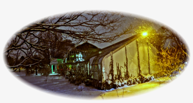 Highland Park, transparent png download