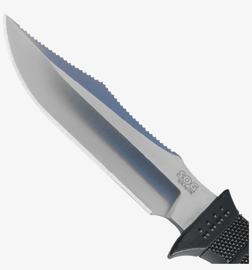 Engraving - Sog Seal Pup Elite, transparent png download
