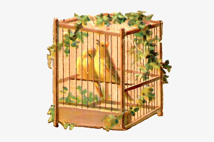 Free Bird Clip Art - Cage, transparent png download