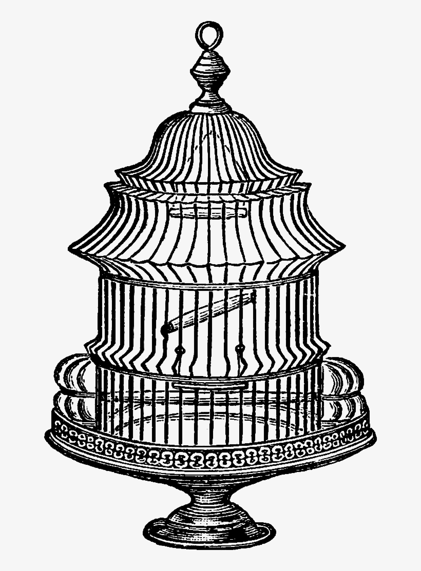 Birdcage Clipart Transparent - Vintage Bird Cage Drawing, transparent png download