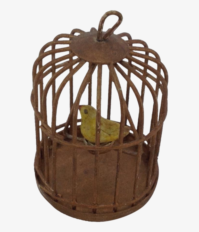 Clipart Transparent Cage Transparent Old - Canary In An Old Cage, transparent png download