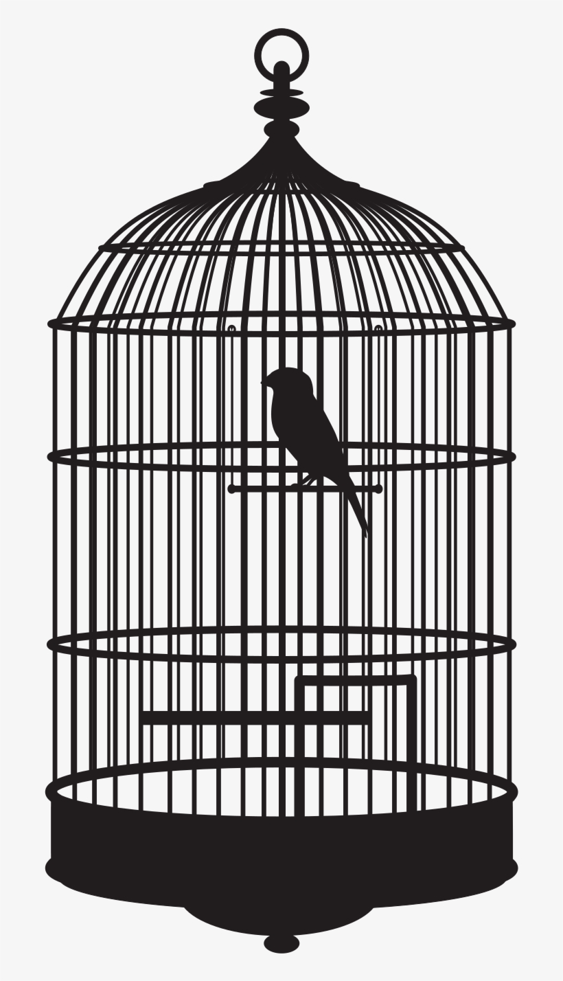 Birdcage Transprent Free Download - Bird In Cage Gif, transparent png download