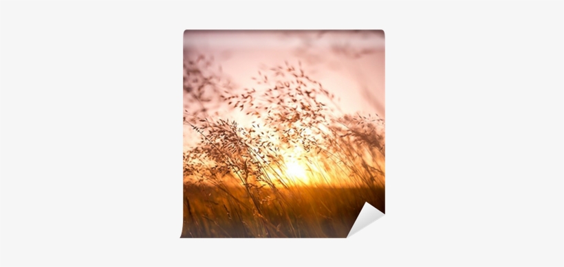 Me & My House... A Prayer And Discipleship Journal, transparent png download