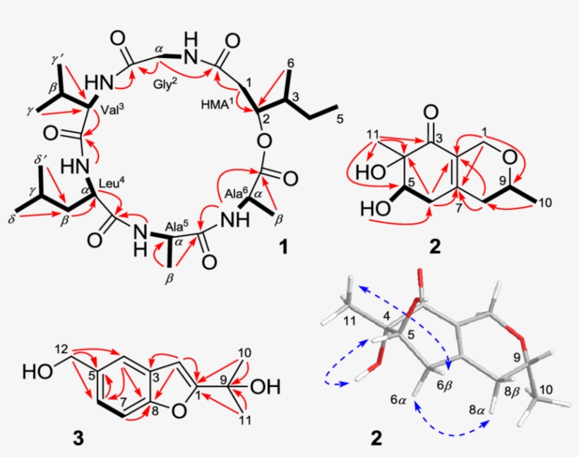 Key 1 H-1 H Cosy , Hmbc (red Arrows - Diagram, transparent png download