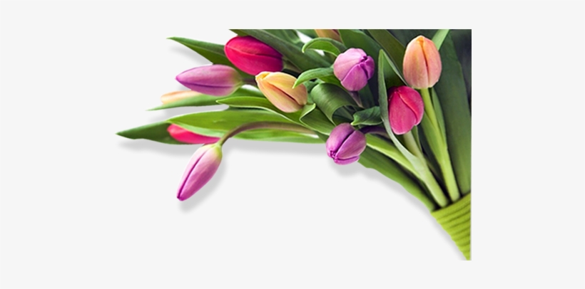 Birthday Flower Images Png, transparent png download