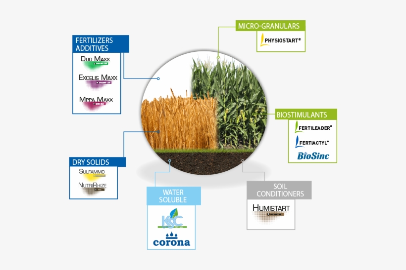 At Timac Agro Usa, We Truly Believe In Providing Our - Grass, transparent png download