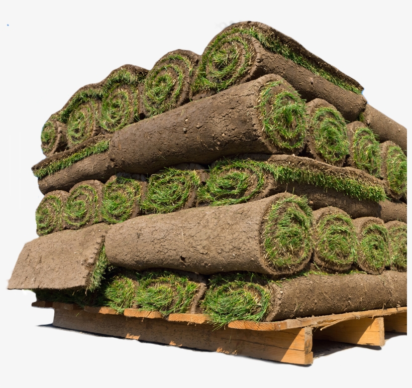 Grass Sod, transparent png download