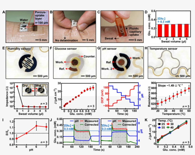 Optimization Of The Sweat Control And Characterization - Sweat Glucose Sensor, transparent png download