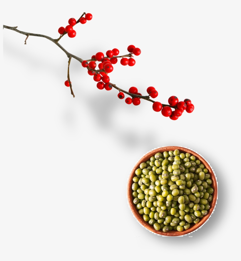 Jiva Usda Organic Whole Moong (mung) Beans 2 Pound, transparent png download