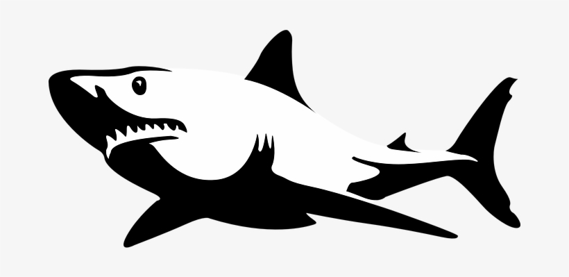 Shark Jaws Sea Fish Ocean White Shark Shar - Black And White Shark Clipart, transparent png download