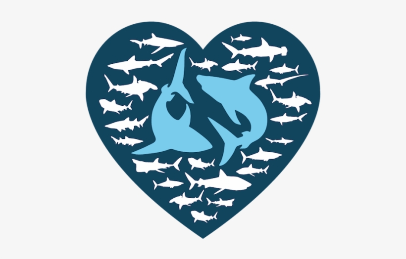 I Love Sharks Selfie Challenge Save Our Sharks Nl - Shark, transparent png download