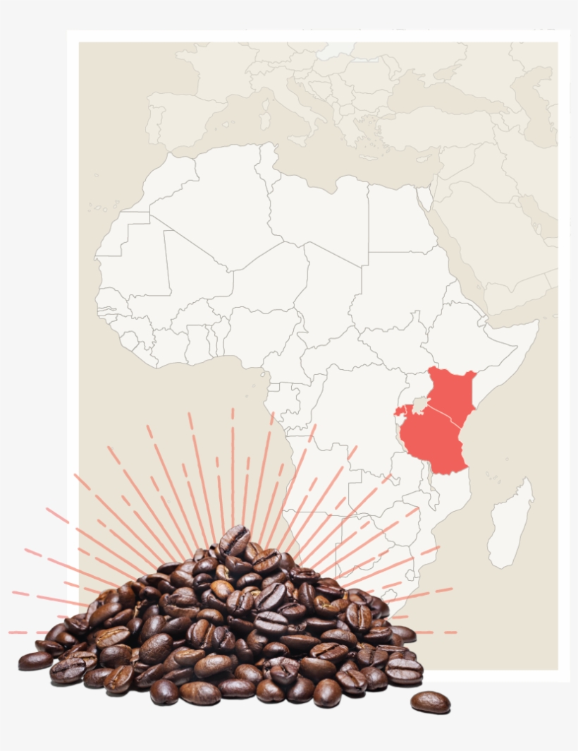 Africa Beans-07 - Portable Network Graphics, transparent png download