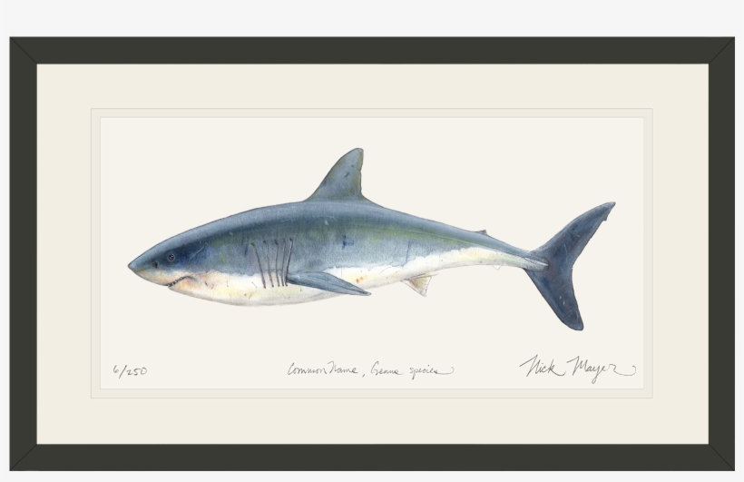 Great White Bl V=1524851151 - Great White Shark, transparent png download