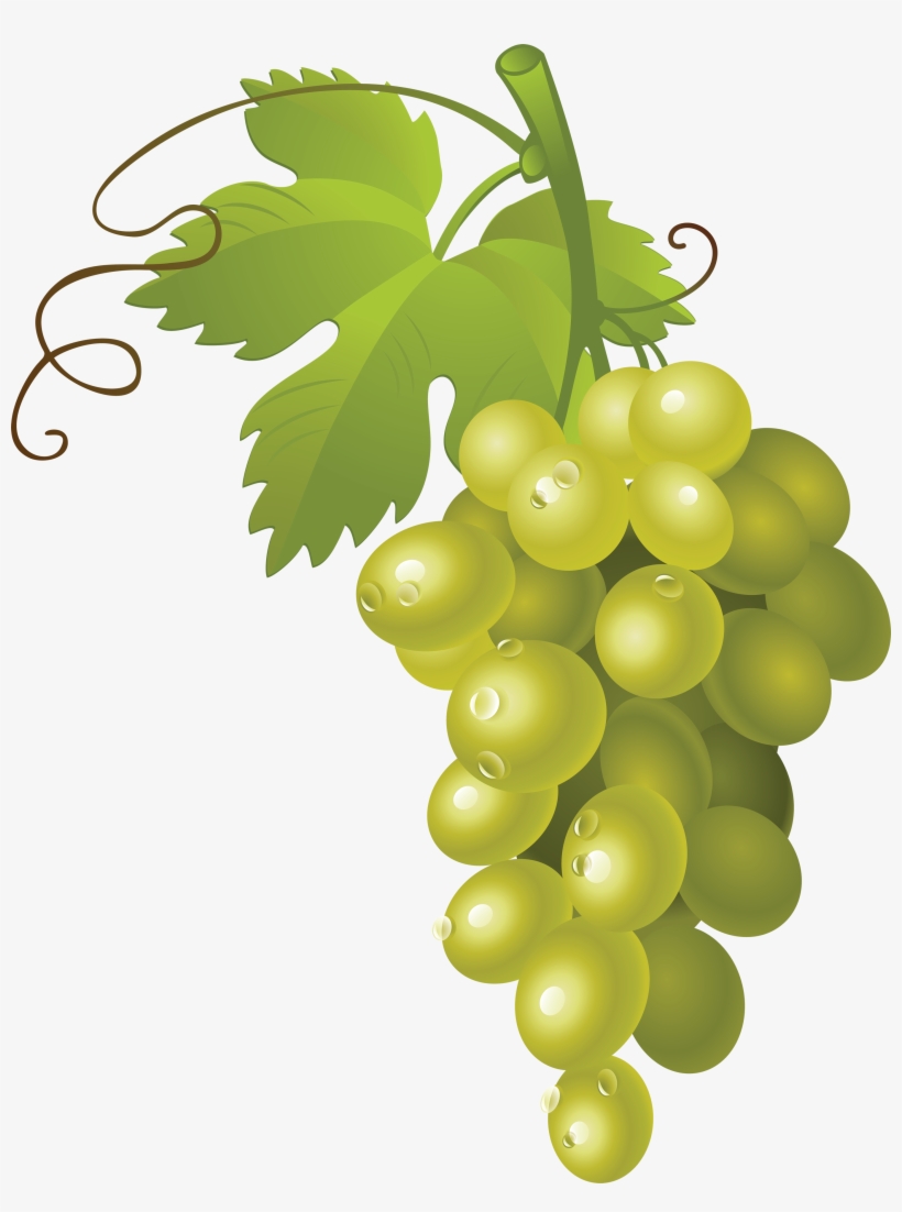 Bunch Of Grapes Png, transparent png download