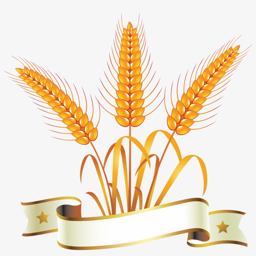 Logos Whole Grain Bread, transparent png download