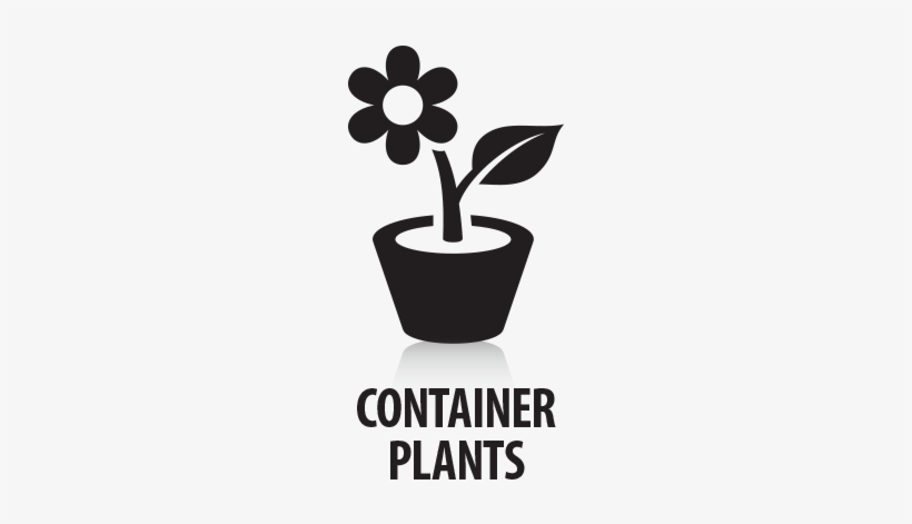 Container-plants - Illustration, transparent png download