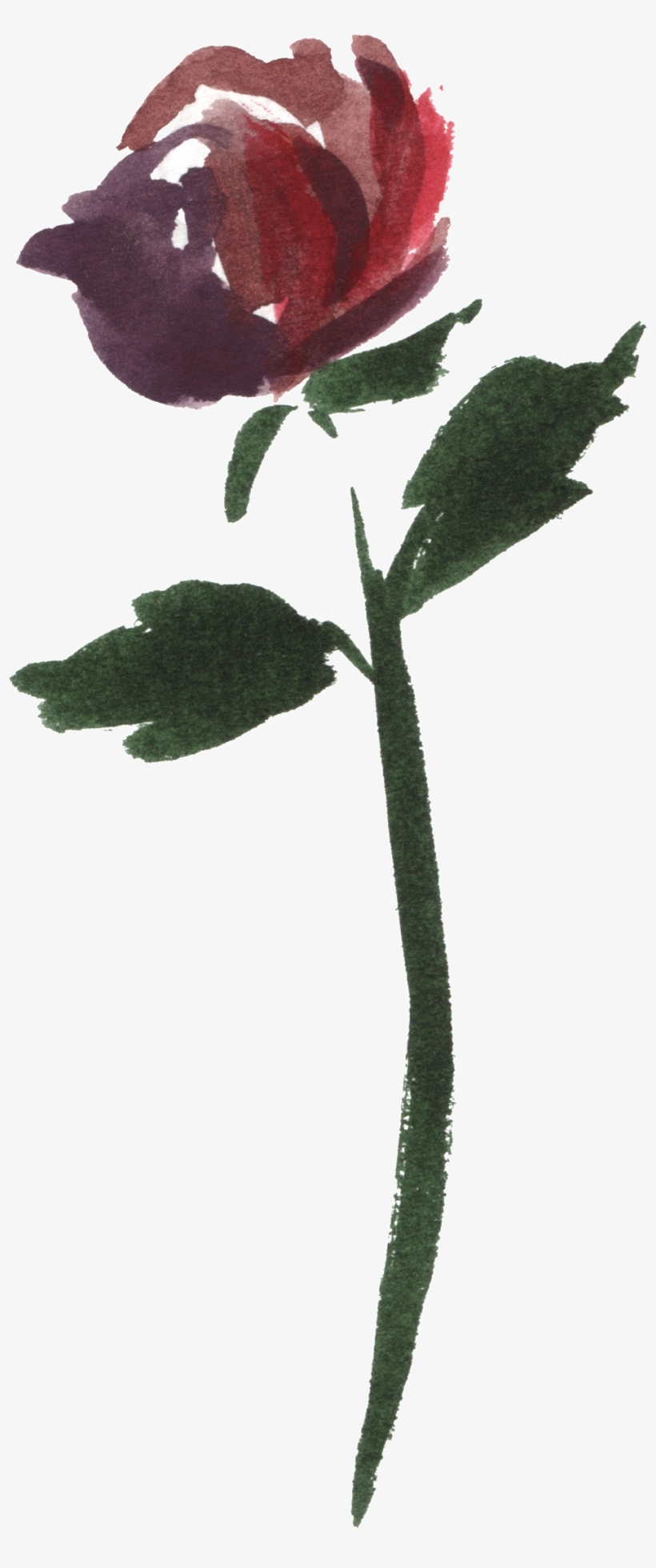 Watercolor Rose Vector - Watercolor Painting PNG Image | Transparent PNG  Free Download on SeekPNG