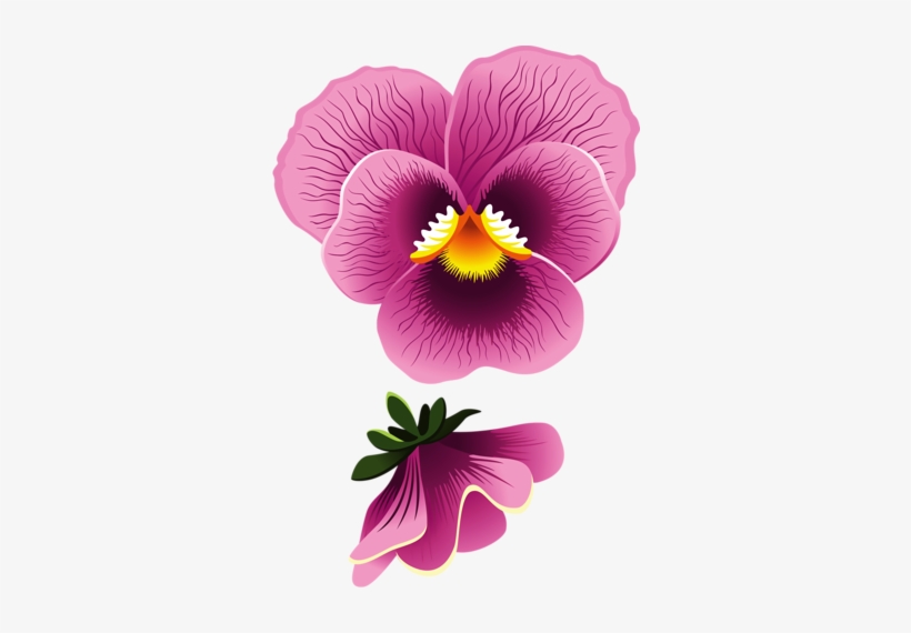 9 - Pansy Flower Clipart, transparent png download