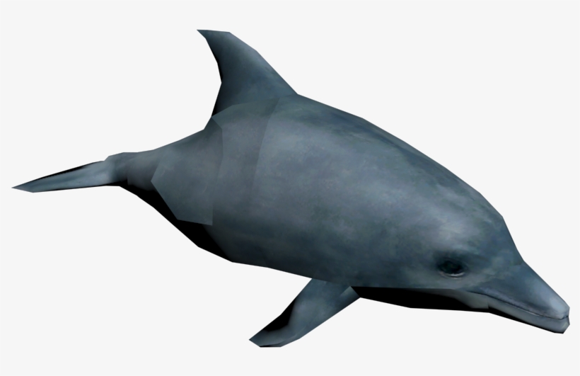 Dolphin, transparent png download
