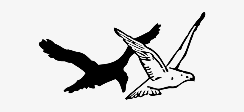 How To Draw A Flying Crow Easy Step By Step For Beginners - Clip Art, transparent png download