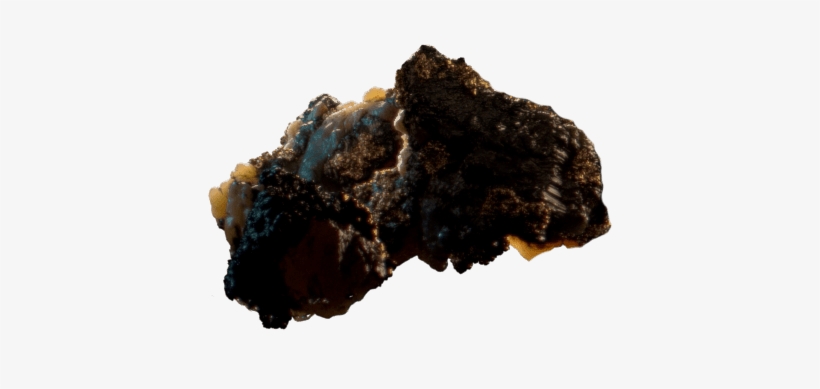 The Beauty Of Light - Chocolate Cake, transparent png download