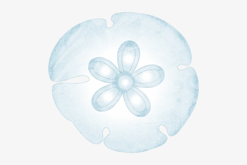 Image Free Download Sanddollar Png Paper Sets Pinterest - Sand Dollar Clipart Transparen, transparent png download