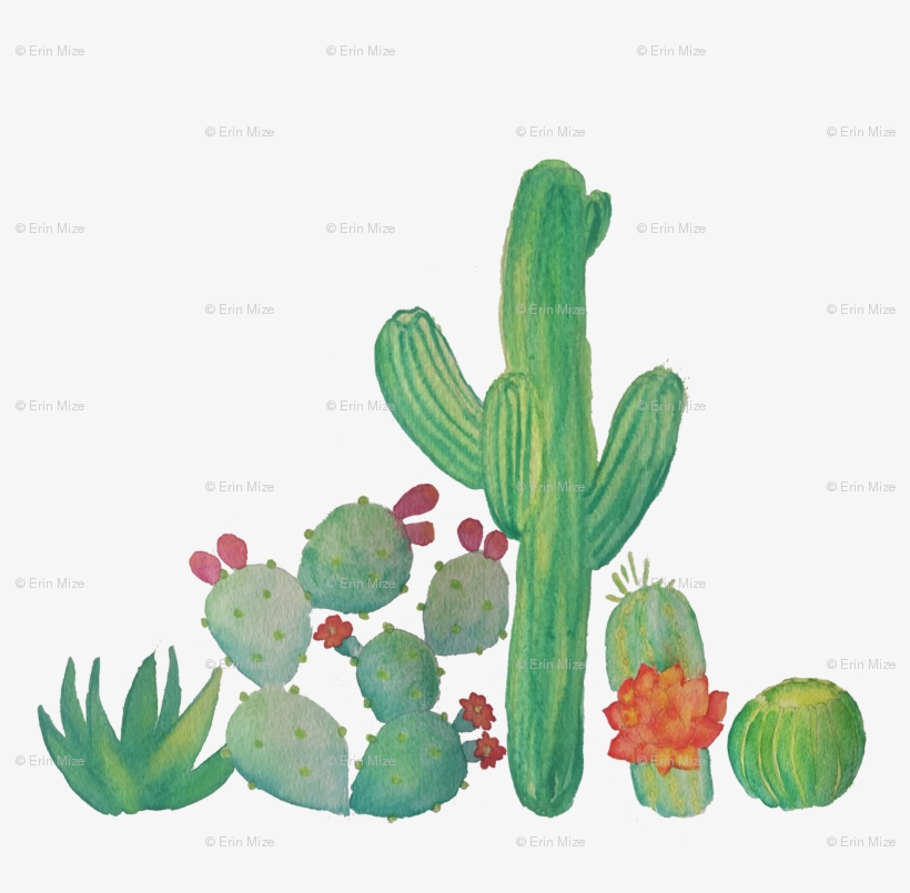 Watercolor Cacti Fabric Erinmizedesigns - Watercolor Cactus Png, transparent png download