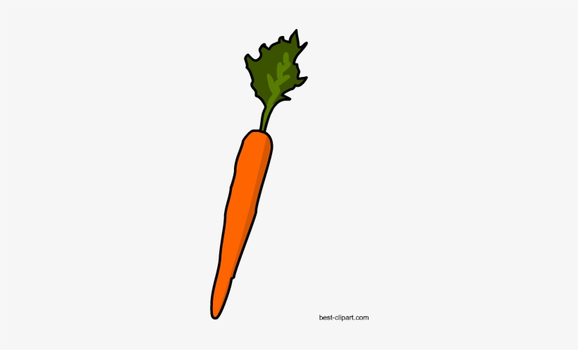 Free Carrot Clip Art - Carrot, transparent png download