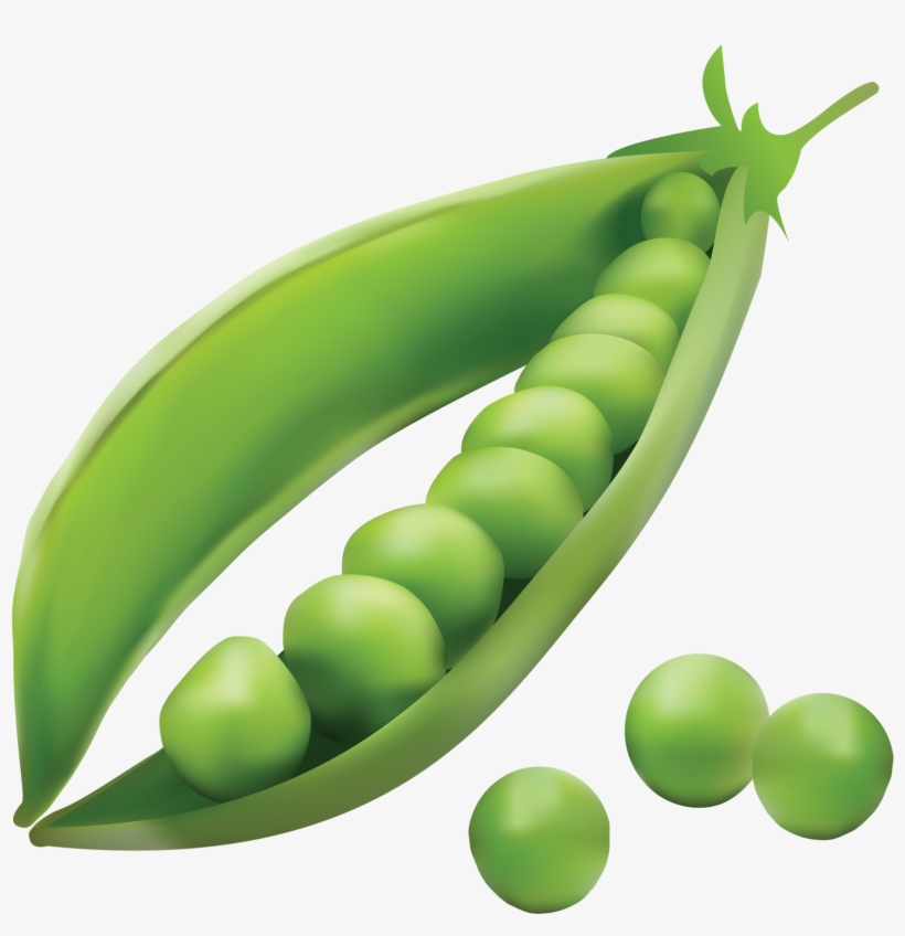 ᗷọŋ Ꭺppєtít Fruit And Veg, Fruits And Vegetables, Food - Peas Clipart .png, transparent png download